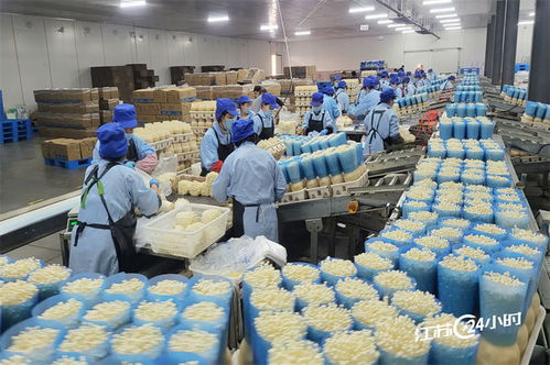 工廠化種植食用菌供應(yīng)市場(chǎng)